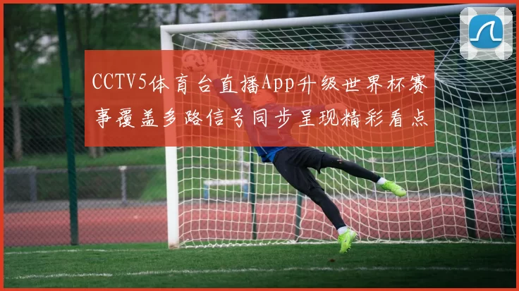 CCTV5体育台直播App升级世界杯赛事覆盖多路信号同步呈现精彩看点