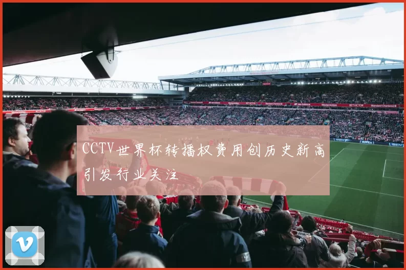 CCTV世界杯转播权费用创历史新高引发行业关注