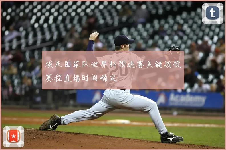 埃及国家队世界杯预选赛关键战役赛程直播时间确定